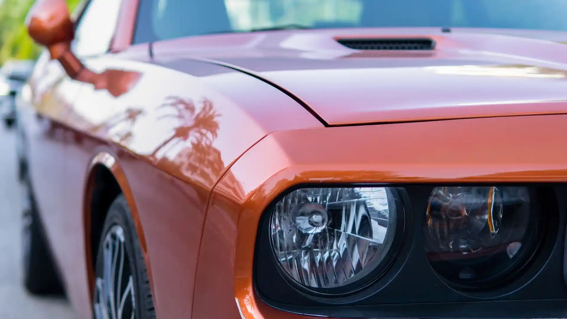 Alamo Car Rental DXB Airport
