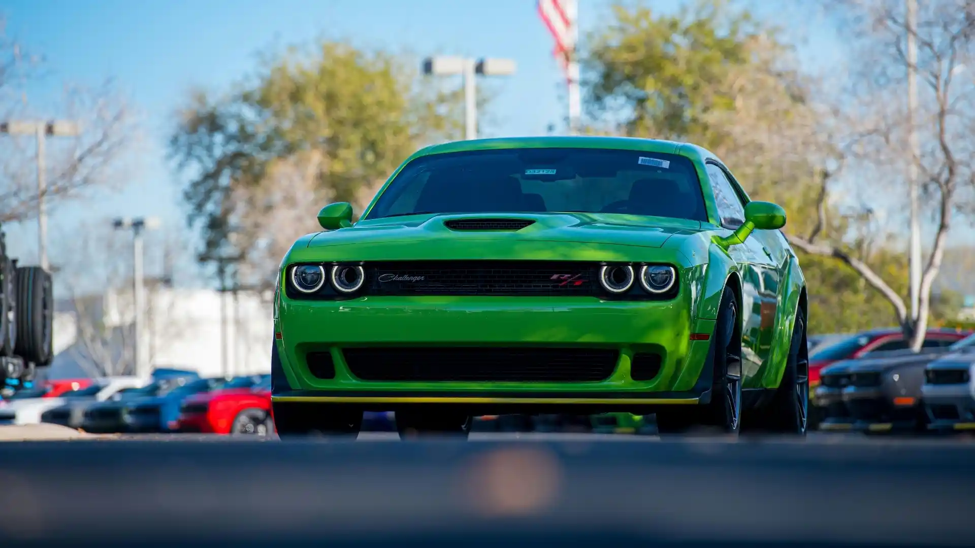 Alamo Car Rental MIA Airport