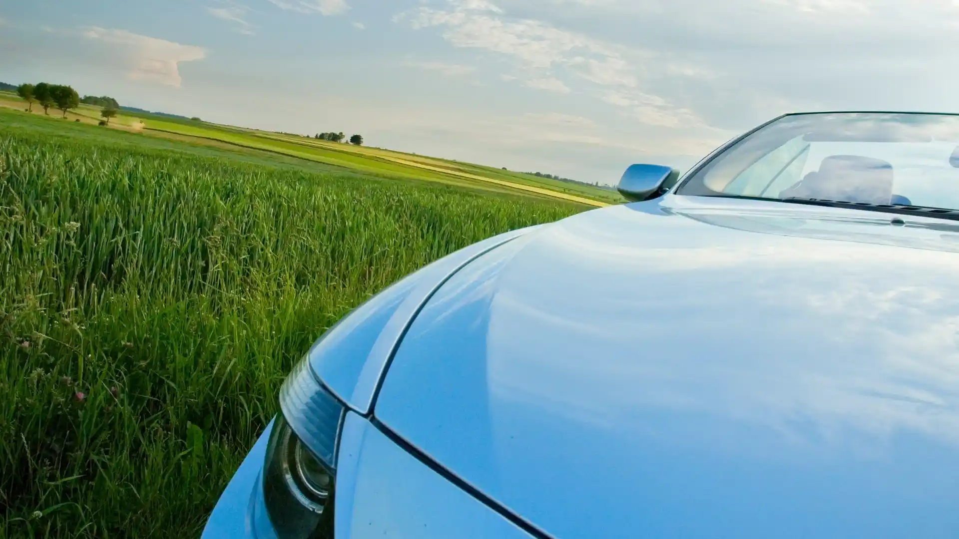Avis Car Rental ITM Airport