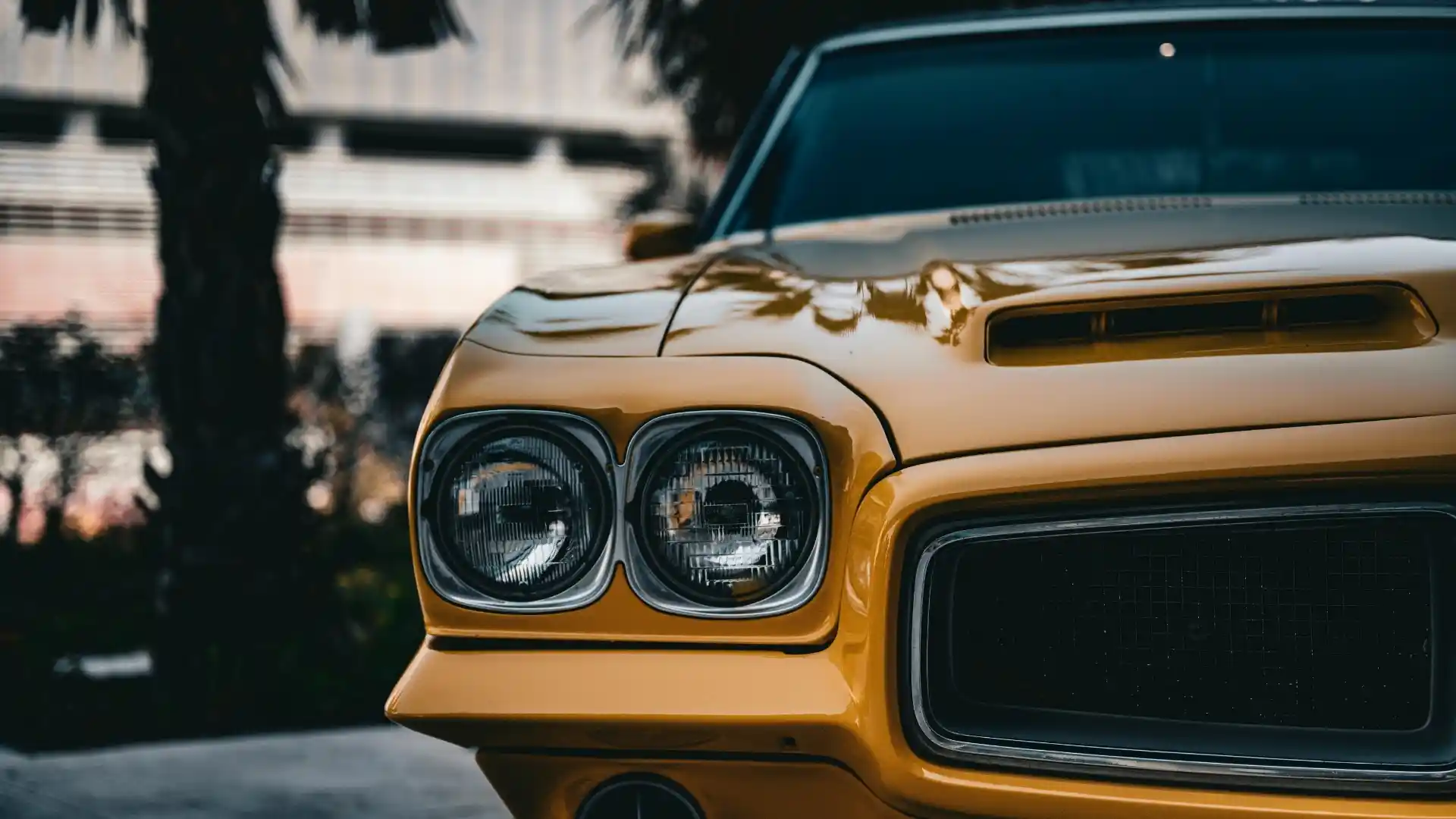 Avis Car Rental LAS Airport