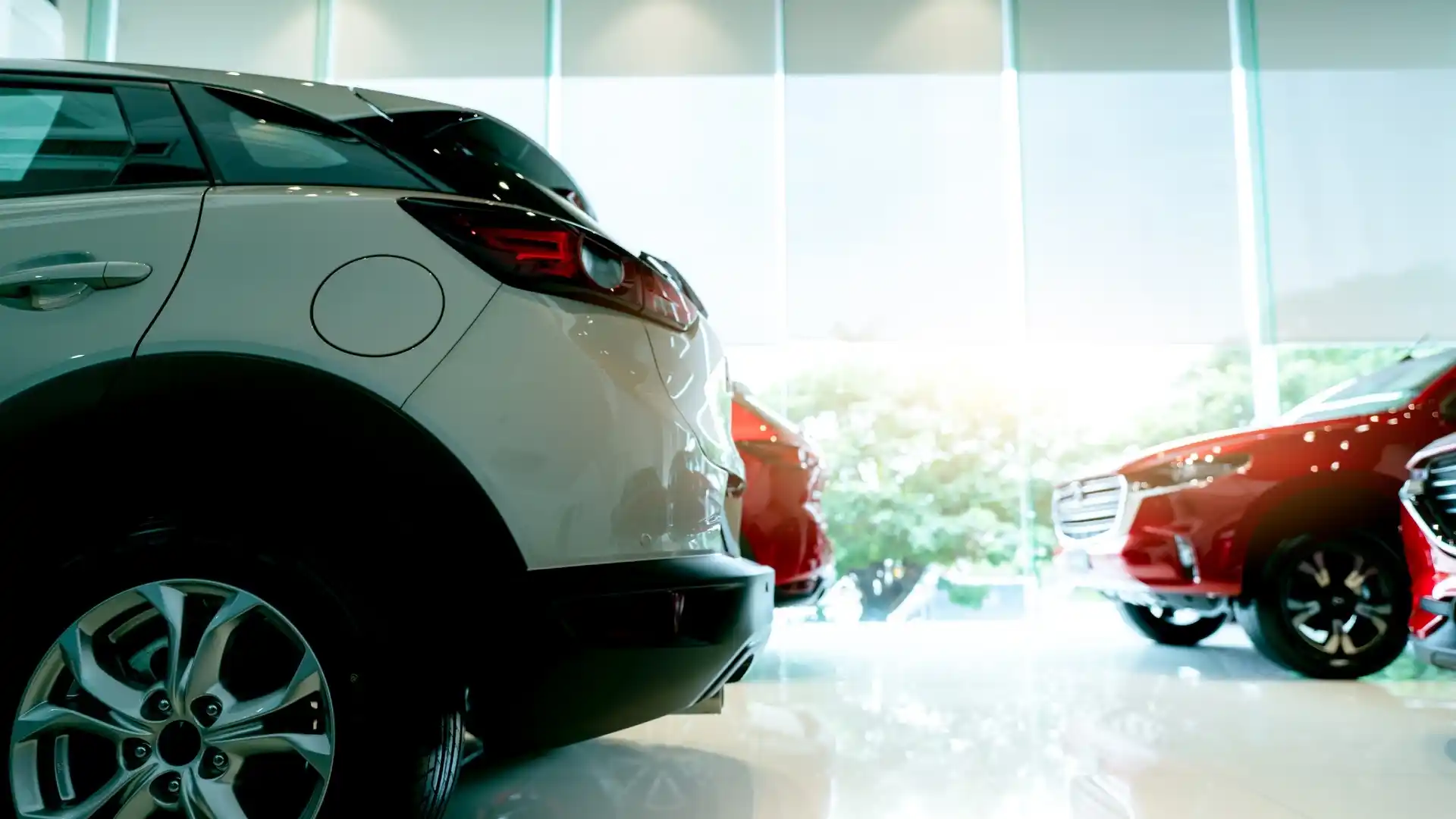 Budget Car Rental Albany Office In USA