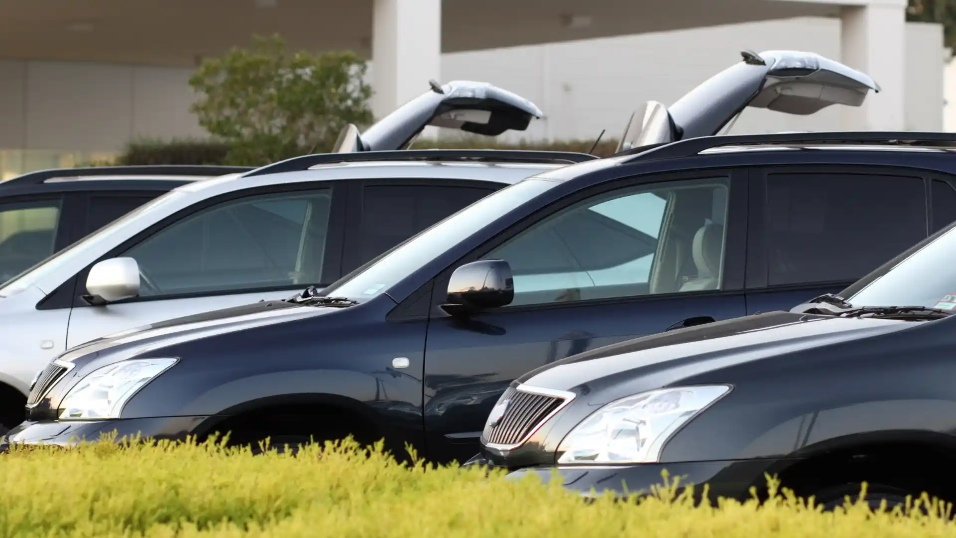 Budget Car Rental Mexico Office