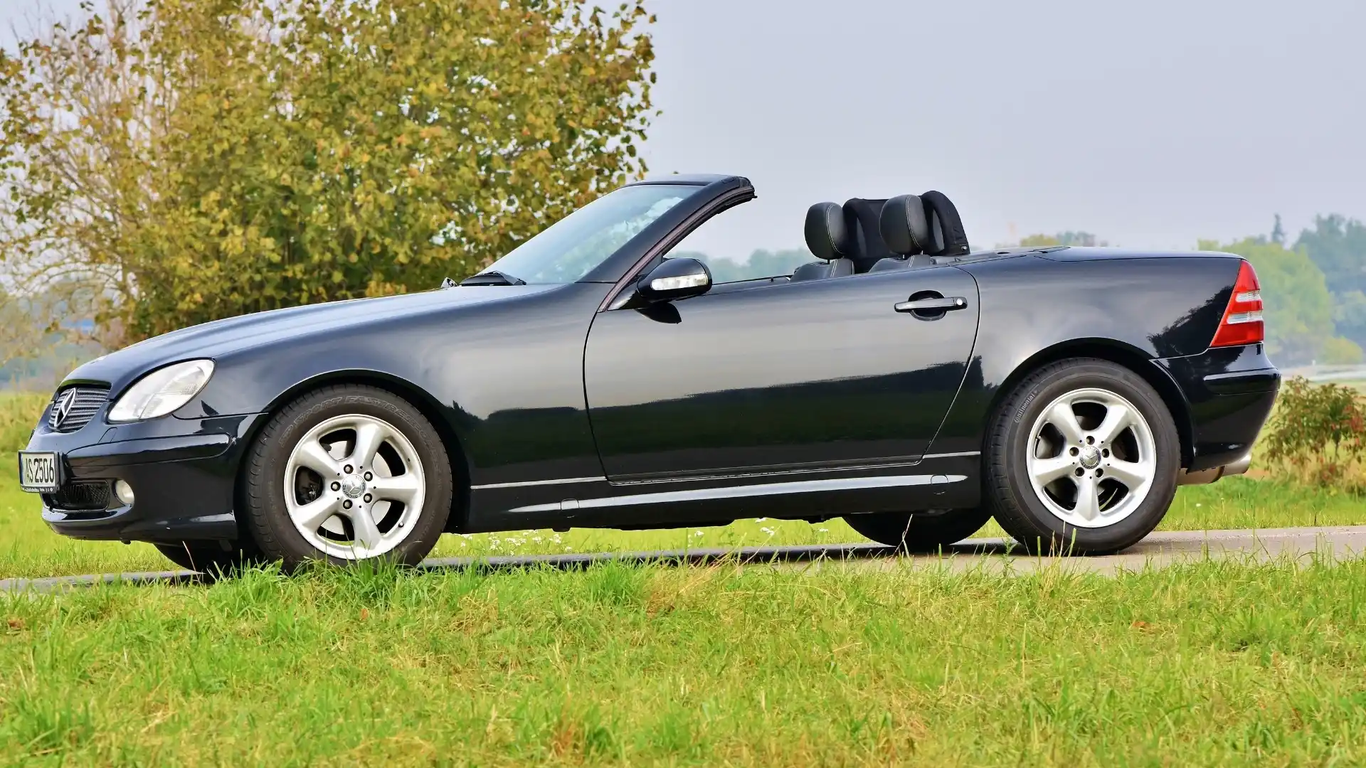 Dollar Car Rental Calgary Office in Canada