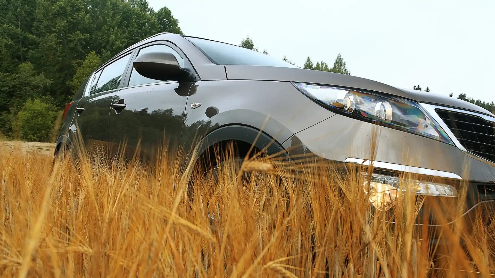 Dollar Car Rental DUB Airport