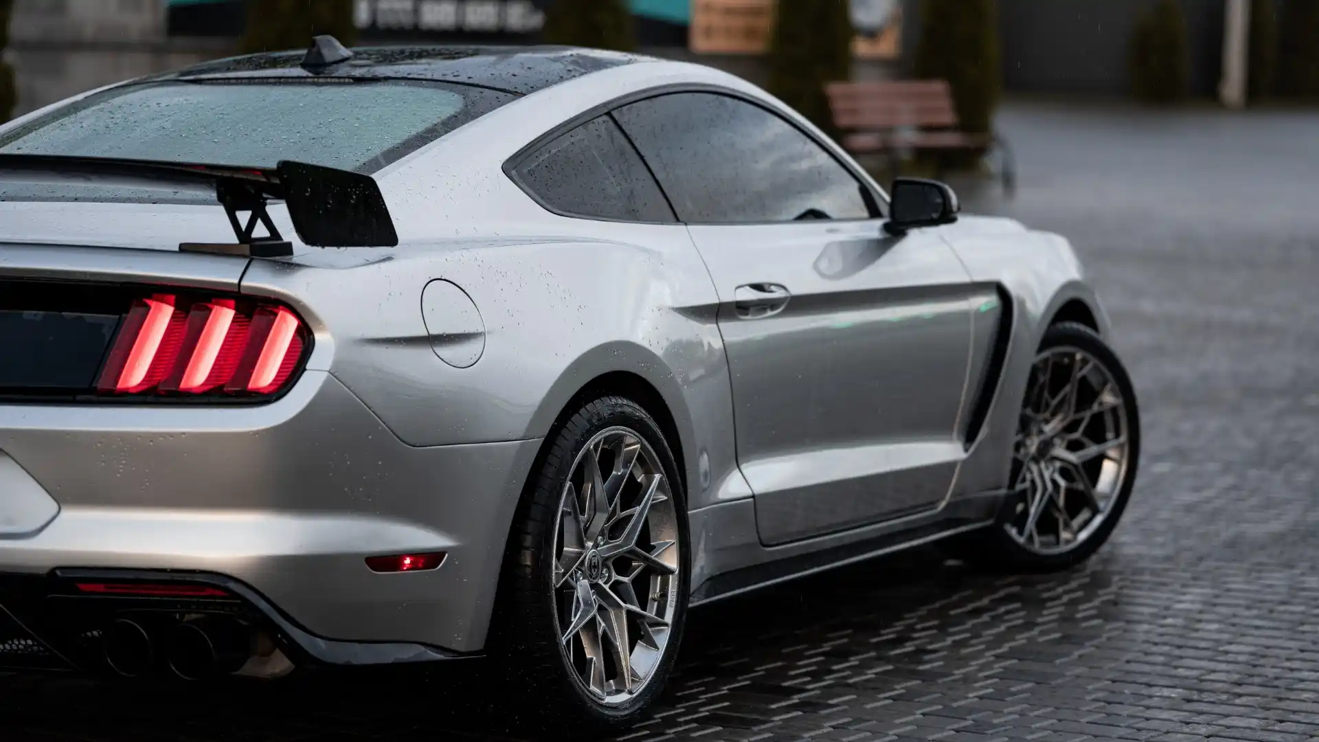 Economy Car Rental Toronto Office in Canada